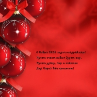 � ����� 2024 �����! ����� ���������� ����� ���.