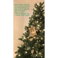� ����� 2024� �����! ����� ����� �������.