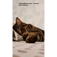 ��������� ����, �����! ��� ������!