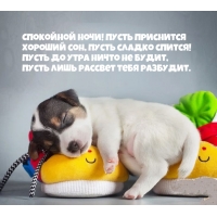 ��������� ����! ����� ��������� ������� ���, ����� ������ ������!