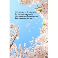��� ������ ���� ��������, �� ����� ����������.