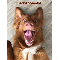 ���� �����!