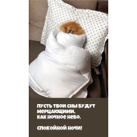 ����� ���� ��� ����� ����������, ��� ������ ����.