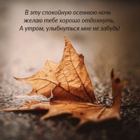 � ��� ��������� ������� ���� ����� ���� ������ ���������