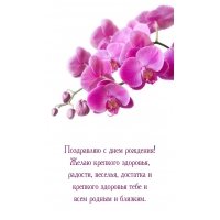 ���������� � ���� ��������! ����� �������� ��������