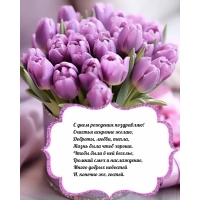 � ���� �������� ����������! ������� �������� �����