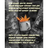 ���� �������, ������, ������ ������ ��������� �������� ���� ���.