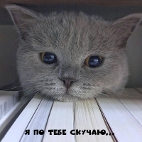 � �� ���� �������