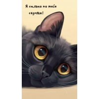 � ������ �� ���� ������!
