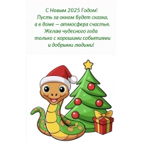 � ����� 2025 �����! ����� �� ����� ����� ������ 