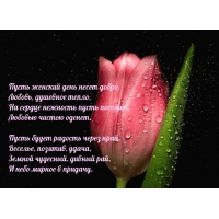 ����� ������� ���� ����� �����, ������, �������� �����