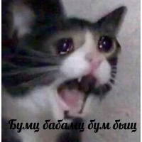 ���� ������ ��� ���
