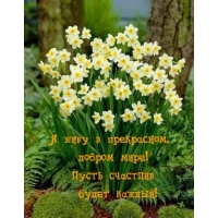 � ���� � ����������, ������ ����! ����� �������� ����� ������!     