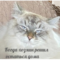 ����� ������ ����� �������� ����
