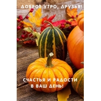 ������ ����, ������! ������� � ������� � ��� ����!