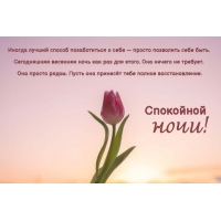 ������ ������ ������ ������������ � ���� � ������ ��������� ���� ����. 