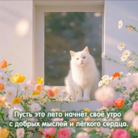 ����� ��� ���� ������ ��� ���� � ������ ������ � ������ ������.