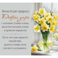����� ����� �������: ������ ���� � �������� ������ ������