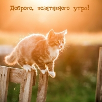 �������, ����������� ����!