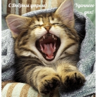 � ������ �����! �������� ���!