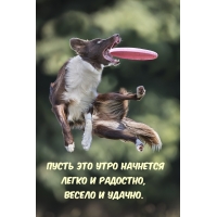 ����� ��� ���� �������� ����� � ��������