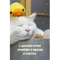 � ������ �����. �������� � ������ � �������.