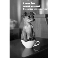 � ���� ���� ������ �������� � ������� ��� �������!