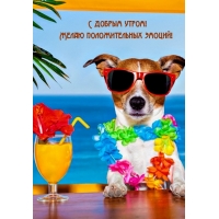 � ������ �����! ����� ������������� ������!