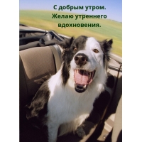 � ������ �����. ����� ��������� �����������.