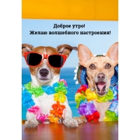 ������ ����! ����� ���������� ����������!