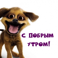 � ������ �����!