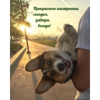 ����������� ���������� �������, ������, ������!
